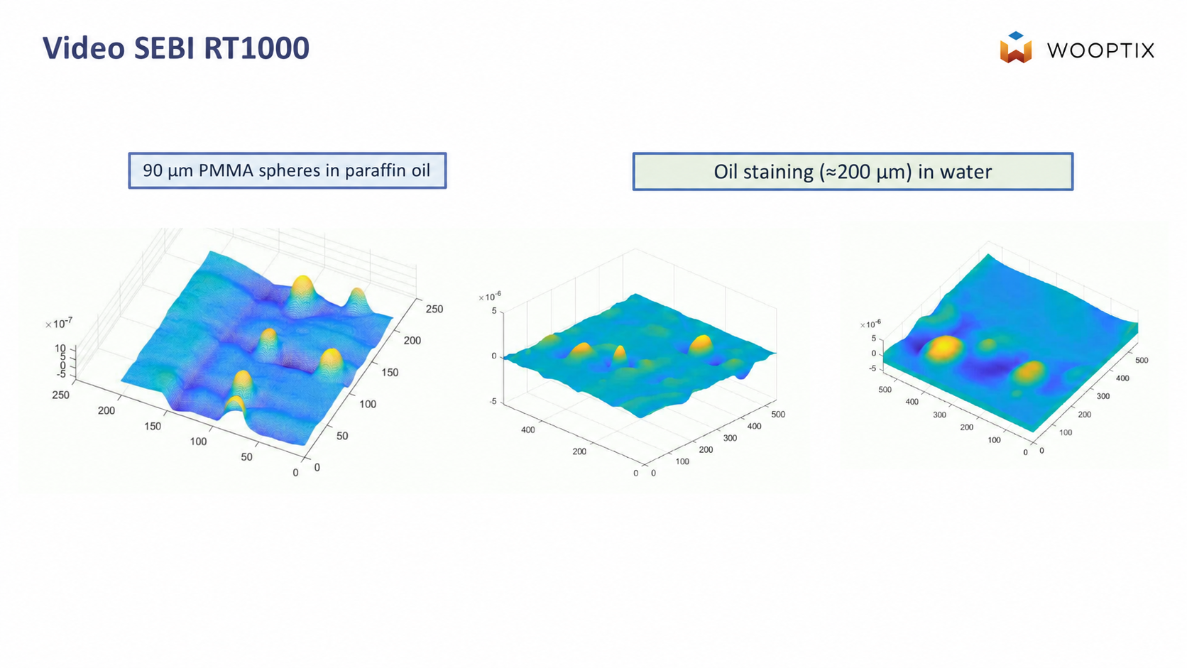 SEBI RT1000 Measurement Examples